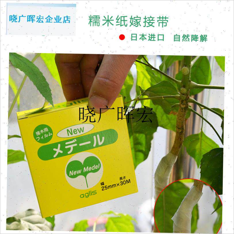 糯米纸嫁接膜 日本进口防水透气果树苗蔷薇月Y季金蛋子嫁接l