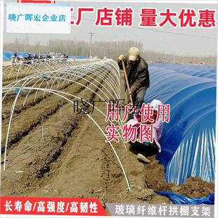 小拱棚支架玻璃纤维杆大棚骨架配件新型搭棚育苗种X菜棚架蔬菜种l