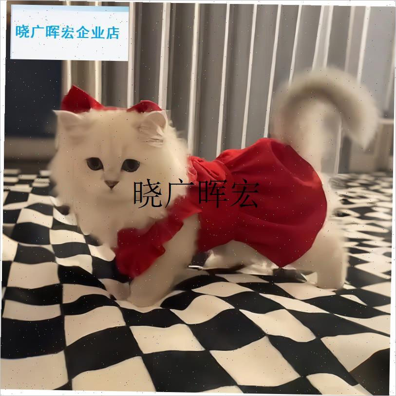 猫咪陪嫁衣服红色战袍宠物小猫结婚裙子银N渐层狗狗婚礼裙喜庆服l