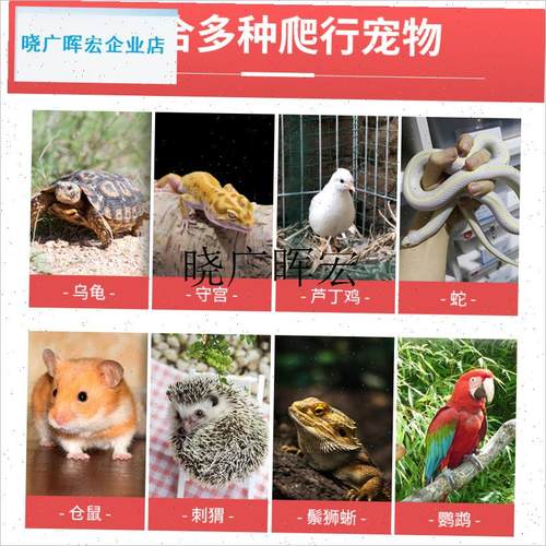 爬宠PVC鬃狮蜥蜴芦丁鸡t饲养箱保温恒暖加热智能蓝舌守宫蛇龟异l