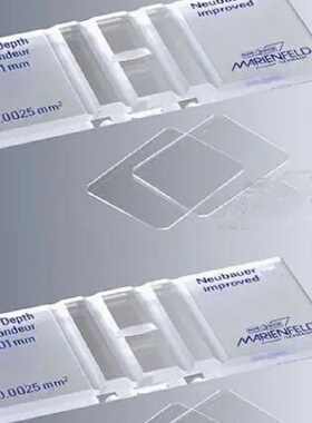供Marienfeld 细/菌计数板 型号:0642110库号：M389326