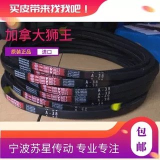 加拿大狮王 CNA SWR V BELT三角带SPB3200 SPB3238 SPB3250