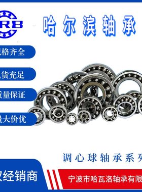 HRB 2212ATN 哈尔滨双列调心球轴承 内径60mm外径110mm 厚度28mm