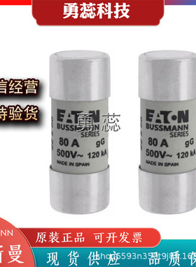 熔断器     C22G80    C22G100    C22G125