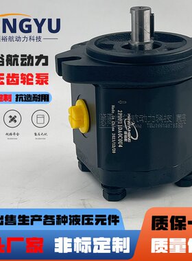 恒裕航液压泵2PDF11D 16D布雷维尼Brevini齿轮泵OT200P11D/R31S2