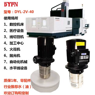 DYPN40米扬程2V40750W电动立式高压设备泵多级不锈钢离心水泵批发