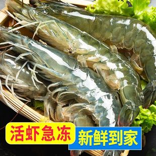 特大号渤海大虾新鲜大虾鲜活冷冻虾子盐冻白虾基围虾礼盒装
