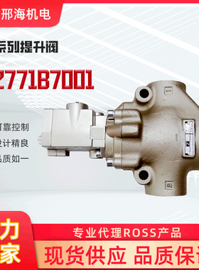 ROSSD2771B7001铸铁提升阀空气流体液体过滤器单向气动电磁阀