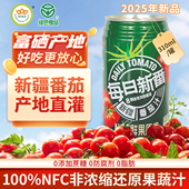 冠农股份新疆番茄汁果蔬汁西红柿汁代餐饮料310ml 12罐