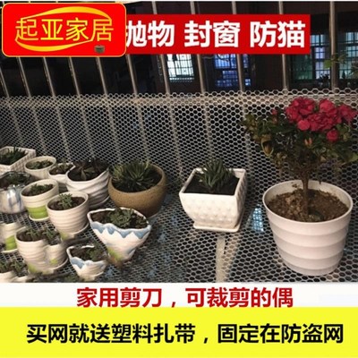 新款网格片网片软硬围栏网胶网格网 塑料 养殖塑胶小孔家用小