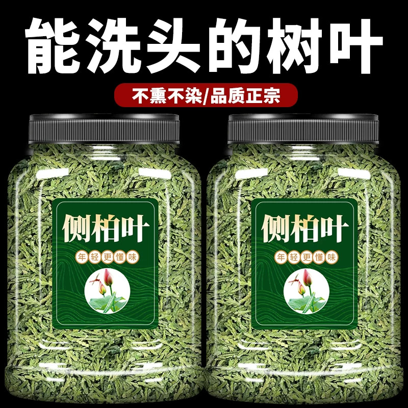 侧柏叶中药材洗发水洗头包新鲜纯植物何首乌侧柏叶粉干柏树叶扁柏