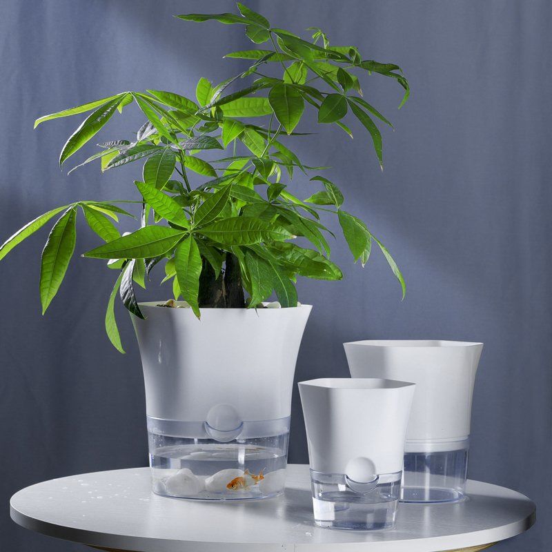自动吸水花盆绿萝储水懒人简约透明盆栽植物鱼花共生室内塑料