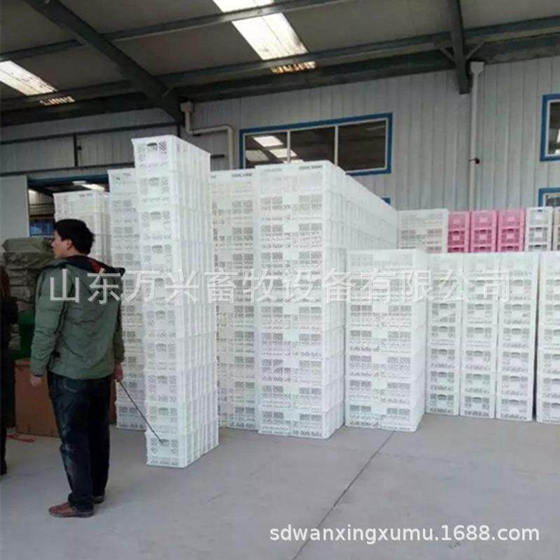 种鸭用蛋筐 出口品质新式蛋筐 多功能塑料筐 厂家供应,电子元器件市场,其他电路保护器件,淘宝优惠券,粉丝福利购,淘宝优惠卷