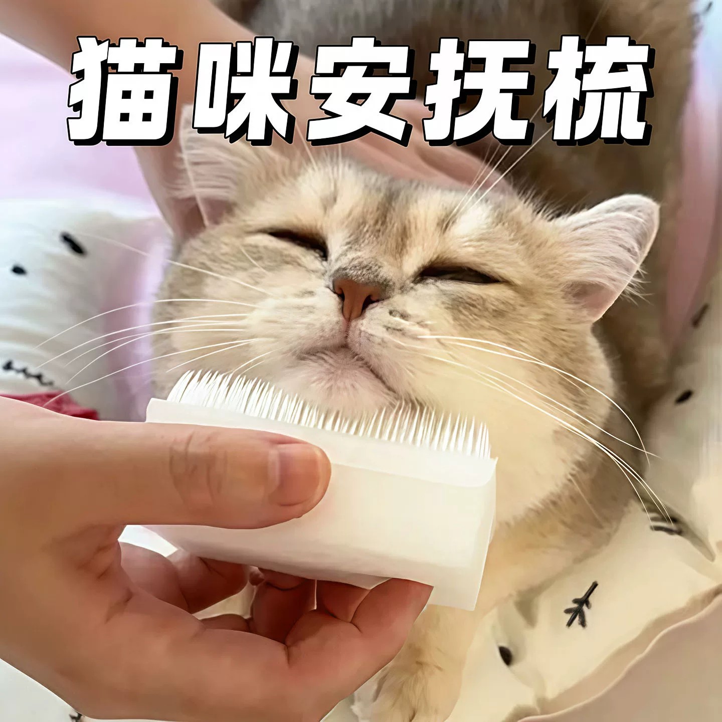 多功能海绵洗手刷仿猫刷猫咪舌头按摩刷猫咪梳猫毛软毛刷宠物梳毛