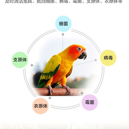 格莱德笼具清洁液鹦鹉鸟用除臭消毒剂玄凤牡丹环境粪便用品清洁剂