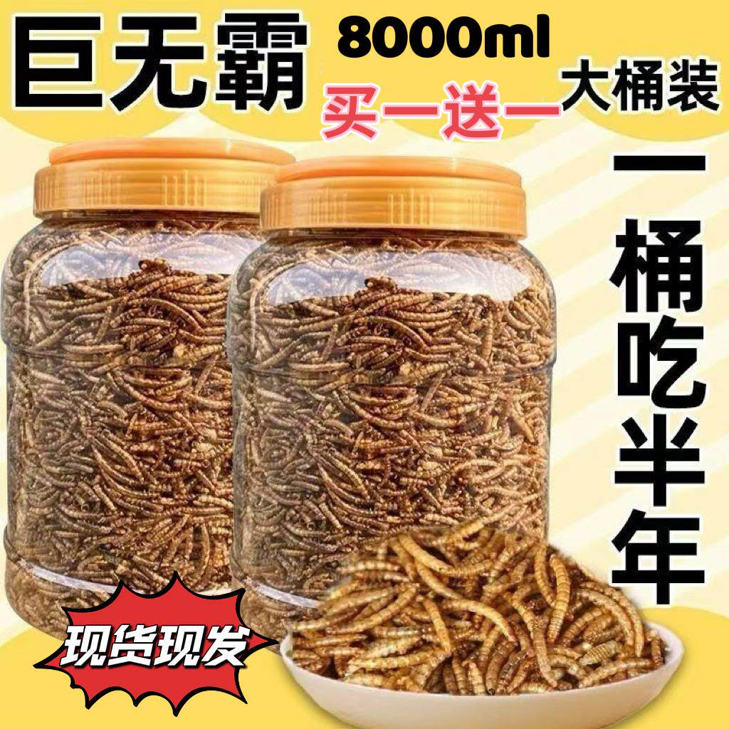 仓鼠零食面包虫干无盐