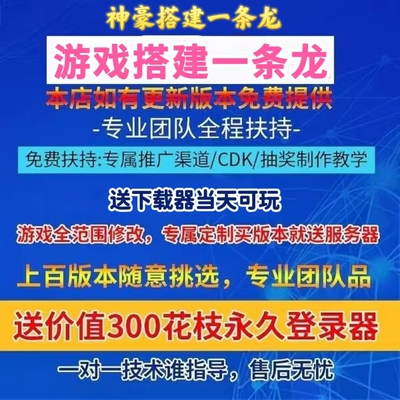 DNiF开服搭建架设一条龙服务器