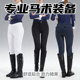 专业骑马裤 女式 秋透气弹力修身 全座硅胶防滑耐磨春夏季 高腰马术裤