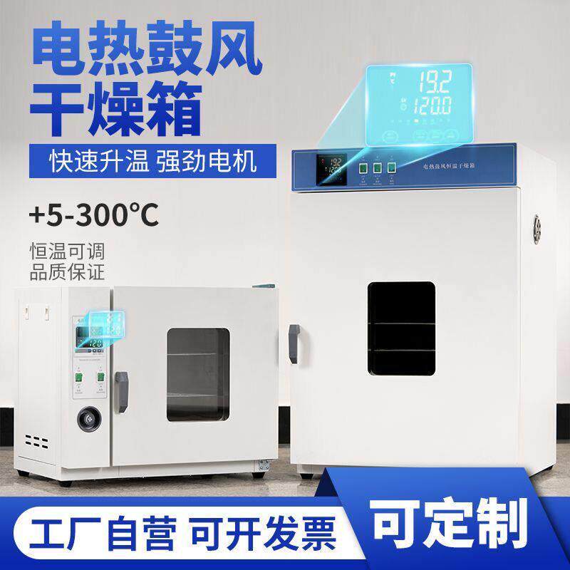 电热恒温鼓风干 干燥箱高温加热小型工业用烤箱医用烘干 干机实验