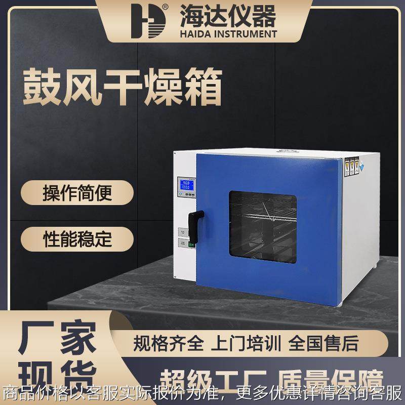 中小型实验室多功能精密烘箱 热风循环干燥箱 高温工业烘箱制做