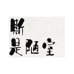 入口大门入口大厅铁丝环地毯地垫家居防滑除尘创意