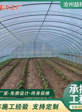 温室大棚 蔬菜花卉大棚 农业种植智能温室大棚 连栋温室大棚