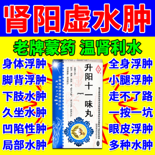 升阳十一味丸肾阳虚导致水肿利水尿消肿去排水肿专用老人腿肿脚肿