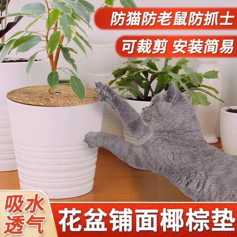 椰棕垫花盆铺面天然椰丝植物装饰圆棕片防草护根垫片盆栽花盆盖面,鲜花速递/花卉仿真/绿植园艺,其它园艺用品,淘宝优惠券,粉丝福利购,淘宝优惠卷