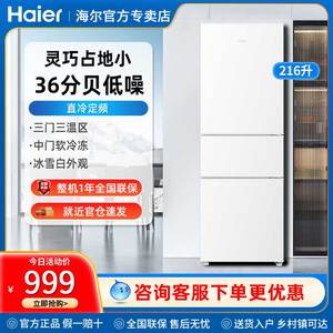 Haier/海尔 BCD-216LHC3E0WV
