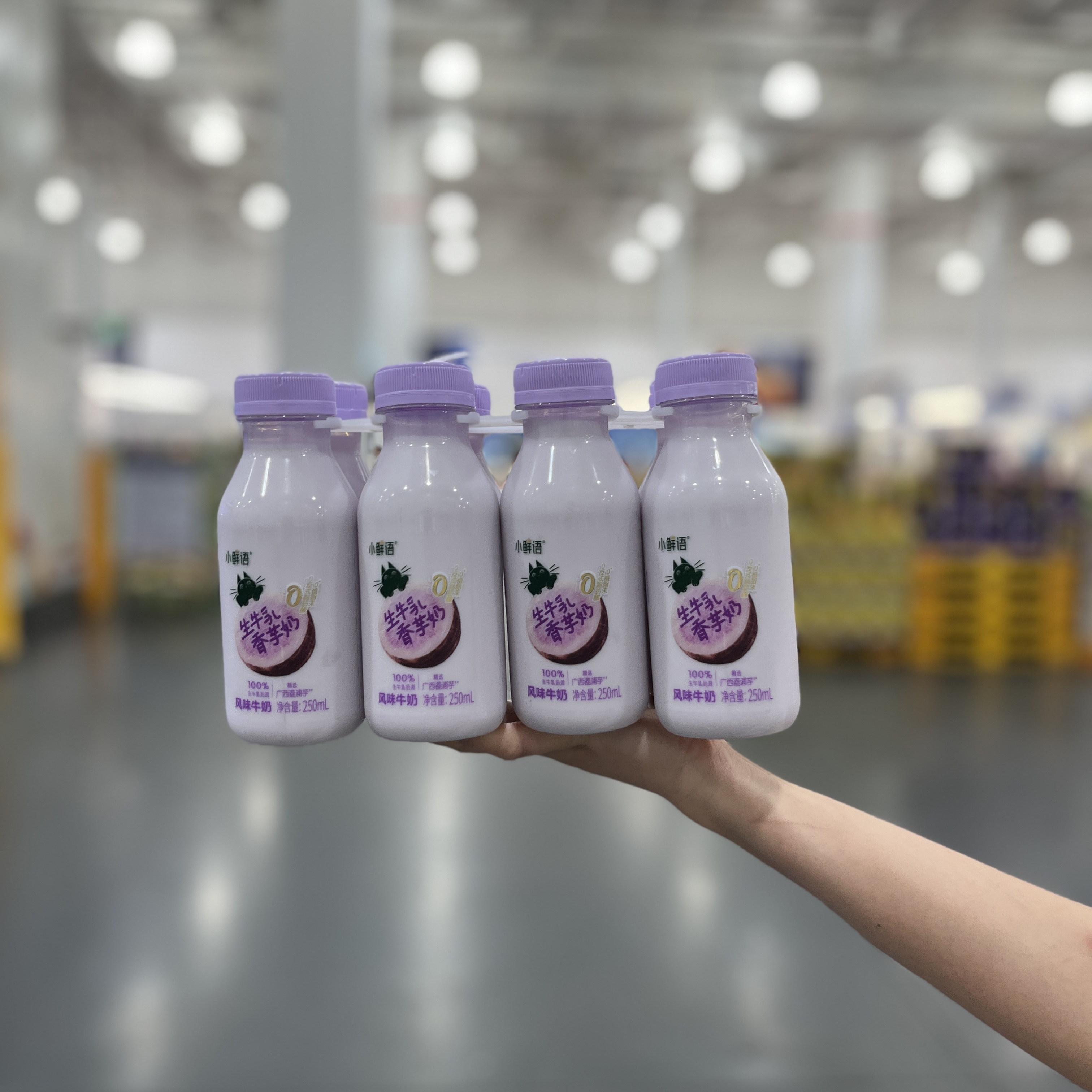 山姆小鲜语生牛乳香芋奶250mLx8营养饮品甄选奶源便携早餐轻乳
