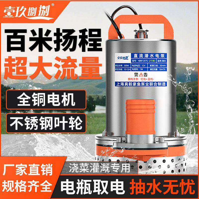 直流潜水泵48V60V72伏电瓶电动车抽水泵12V24V小型灌溉农用抽水机