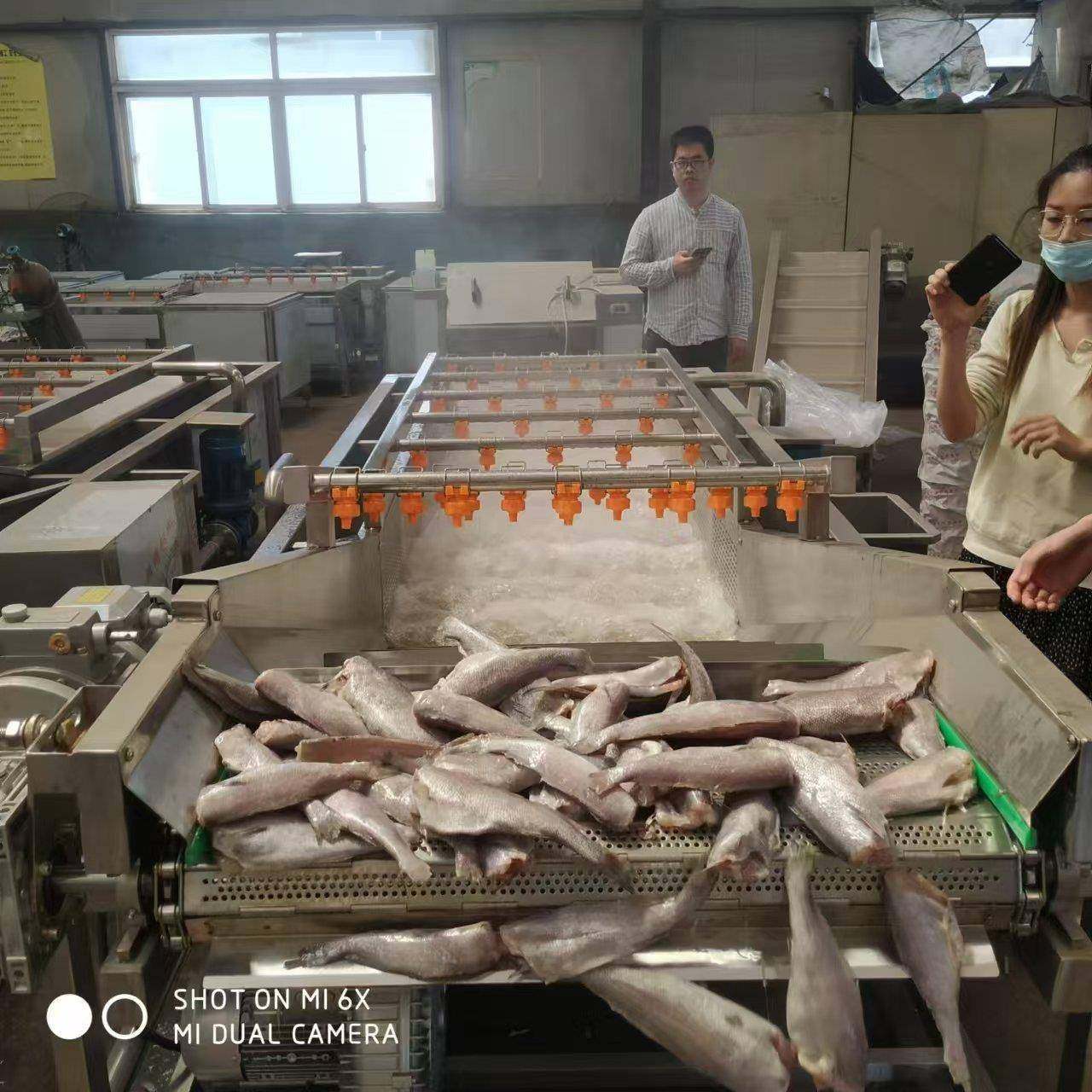 自动气泡清洗机不锈钢商用果蔬清洗机果蔬清洗机洗菜机,清洗/食品/商业设备,其他食品加工设备,淘宝优惠券,粉丝福利购,淘宝优惠卷