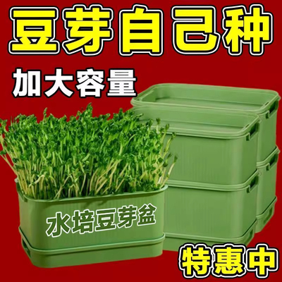 新款豆芽机家用发豆芽神器