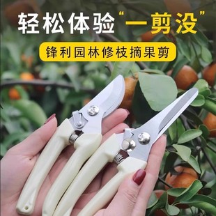 不锈钢树枝修枝剪采摘水果花木剪园林果树花卉枝嫁接园艺剪刀工具