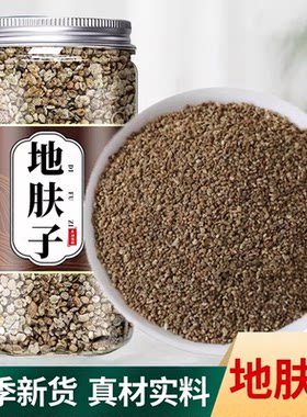 地肤子中药材正宗地夫子茶正品野生新鲜全草铁扫把籽地葵千头子粉