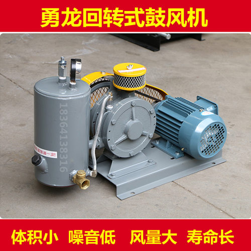回转式鼓风机 强力工业曝气机 污水处理专用低噪音大风量回旋风机