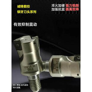 内冷锁牙螺纹刀头锁丫头钨钢抗震刀杆R0.8/R5/R6/刀片 三维刀R390