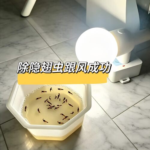 自制陷阱！隐翅虫引诱灯diy诱捕装置智能LED小夜灯可调光遥控亮灯