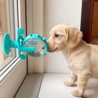 No parkour tonight! Cat toys, leaky food toys, energy-consuming slow feeders, suction cup type automatic feeders thumbnail 8
