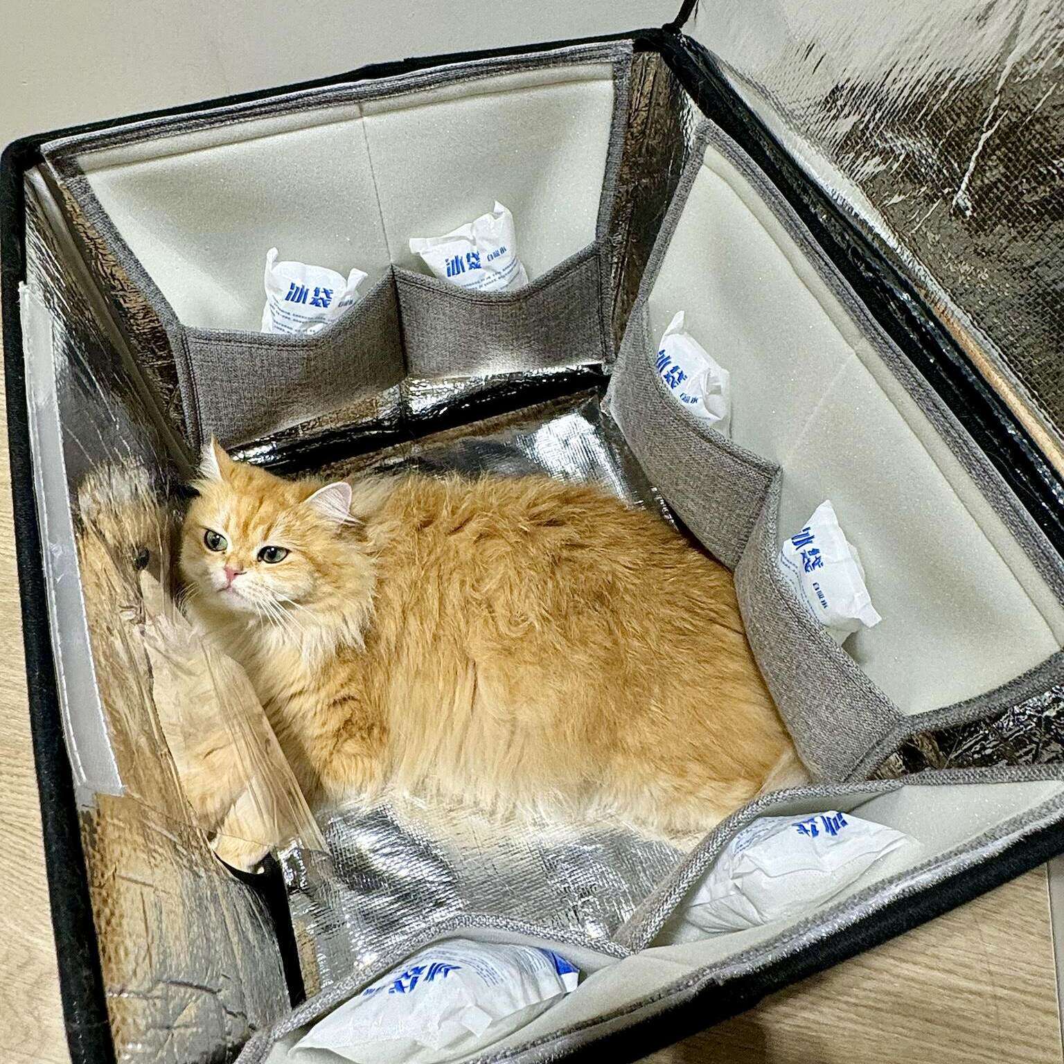 猫咪空调房免插电冰袋夏天降温加厚铝箔冰窝可折叠便携宠物解暑屋