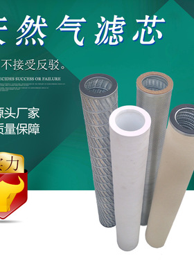 宇恒 国产PECO PSFG-336玻纤天然气管道过滤器滤芯 PSFG-372