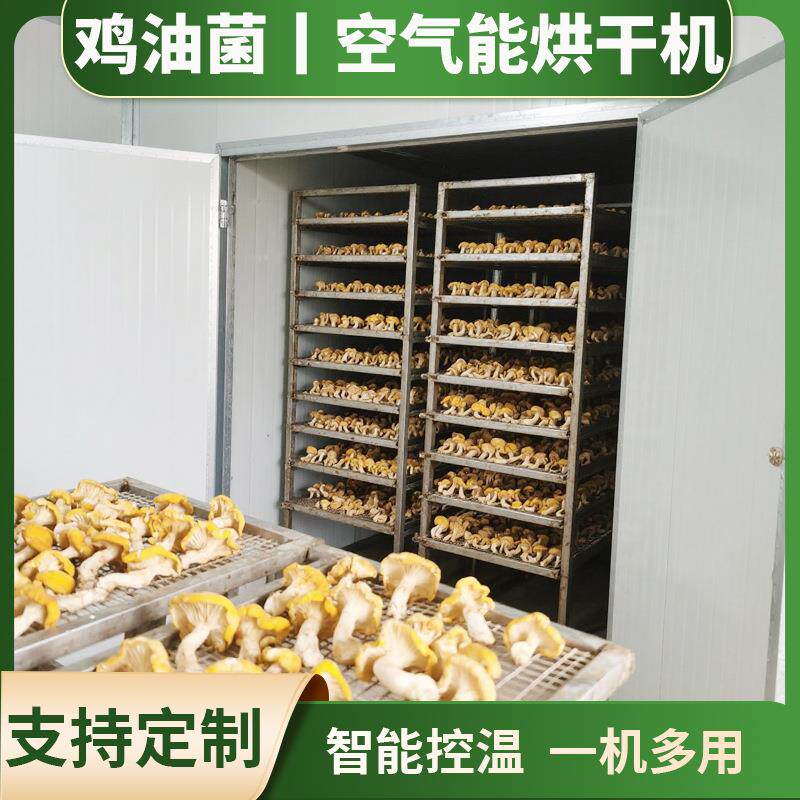 东北榆黄蘑烘干机 大型黄平菇黄金菇干烘干机 鸡油菌脱水烘干设备