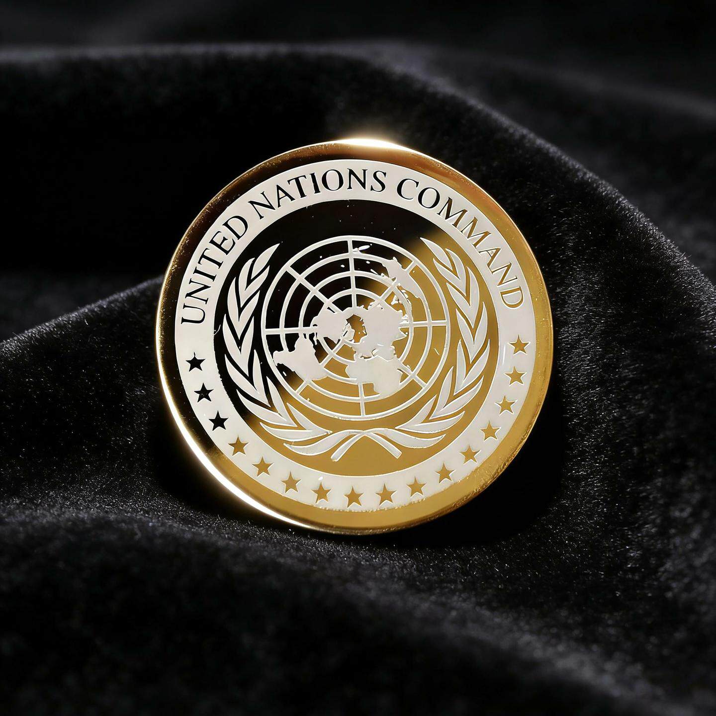 联合国金色徽章胸针男女百搭个性通用正式场合纪念品别针衣服配饰图片