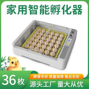 跨境36枚鸡鸭鹅鸟类家用小型全自动智能孵化出雏一体孵蛋器