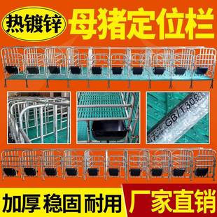 热镀锌母猪用产床保育床猪用限位栏限位栏带漏粪板加厚定位栏复合