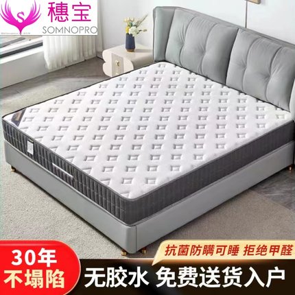 穗宝官方旗舰店席梦思床垫十大名牌软硬两用乳胶椰棕经济家用卧室