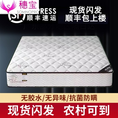穗宝官方旗舰店席梦思床垫软硬两用十大名牌20cm经济型乳胶椰棕家