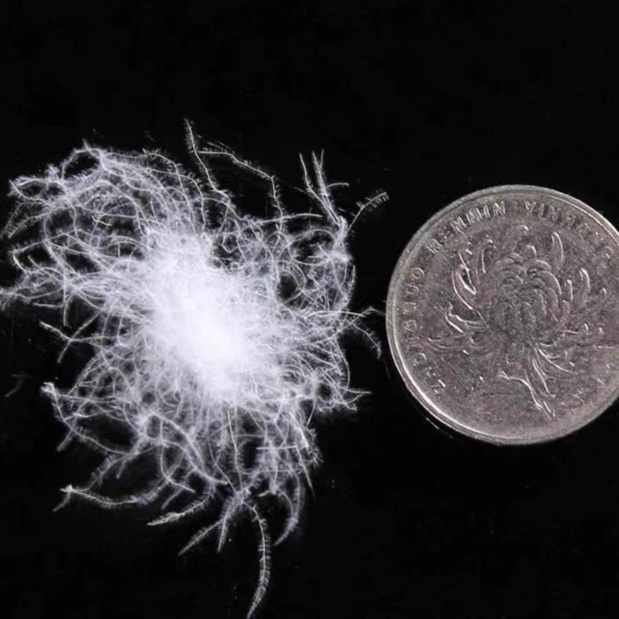 散装大朵白鹅绒白鹅绒羽绒填充物