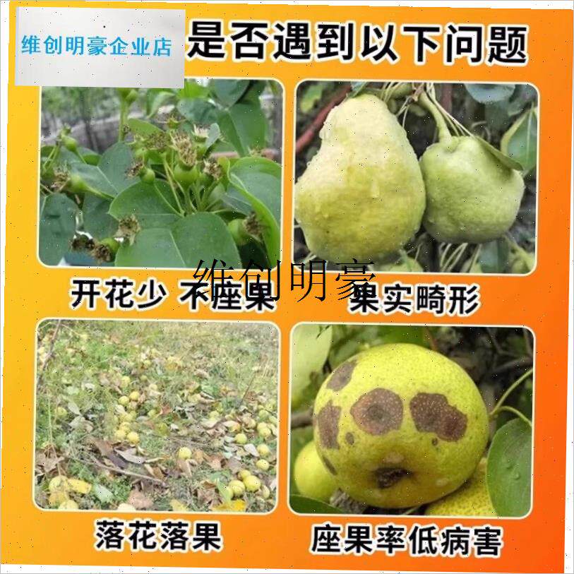 l梨花粉授粉保花保果药防落果座果灵F精农用神器人工Y授粉果树专