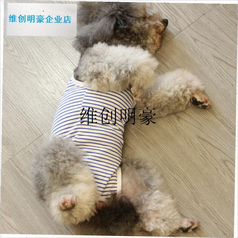 l猫咪绝育服母猫手术服纯棉护肚子空调衣K小狗泰迪宠物衣服薄款四
